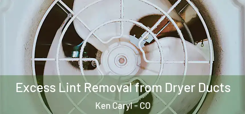 Excess Lint Removal from Dryer Ducts Ken Caryl - CO