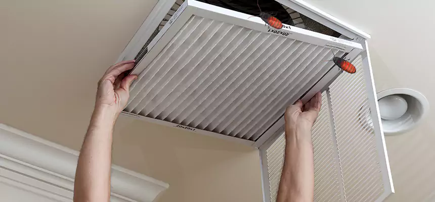 Preventive Cockroach-Proofing for Ducts in Ken Caryl