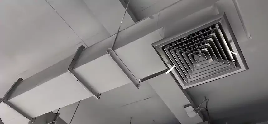 Our Pest Removal From Ducts Services in Ken Caryl, CO