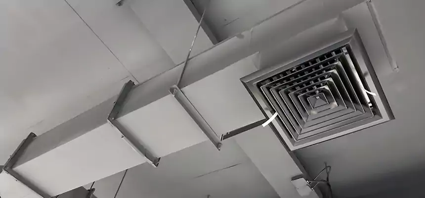 Our Rodent Droppings In Vents Services in Ken Caryl, CO