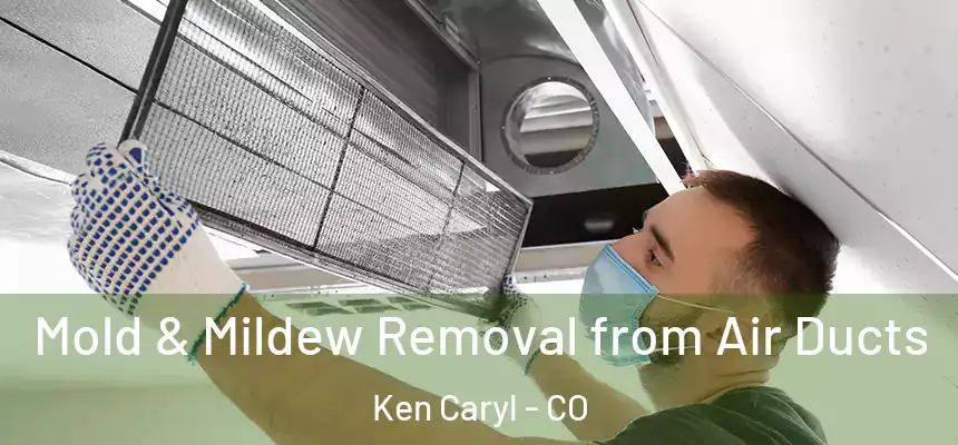  Mold & Mildew Removal from Air Ducts Ken Caryl - CO