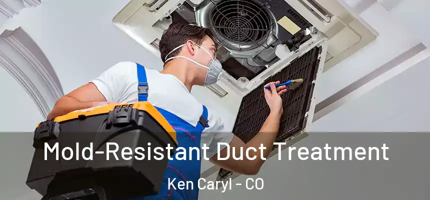  Mold-Resistant Duct Treatment Ken Caryl - CO
