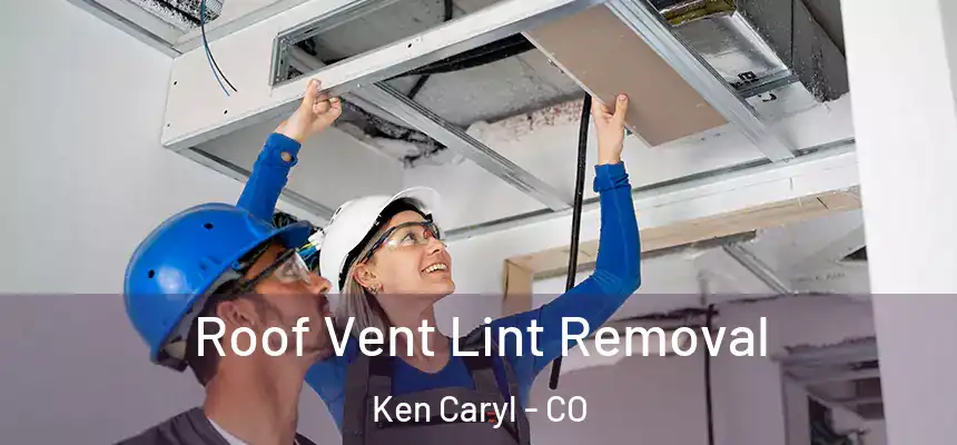 Roof Vent Lint Removal Ken Caryl - CO
