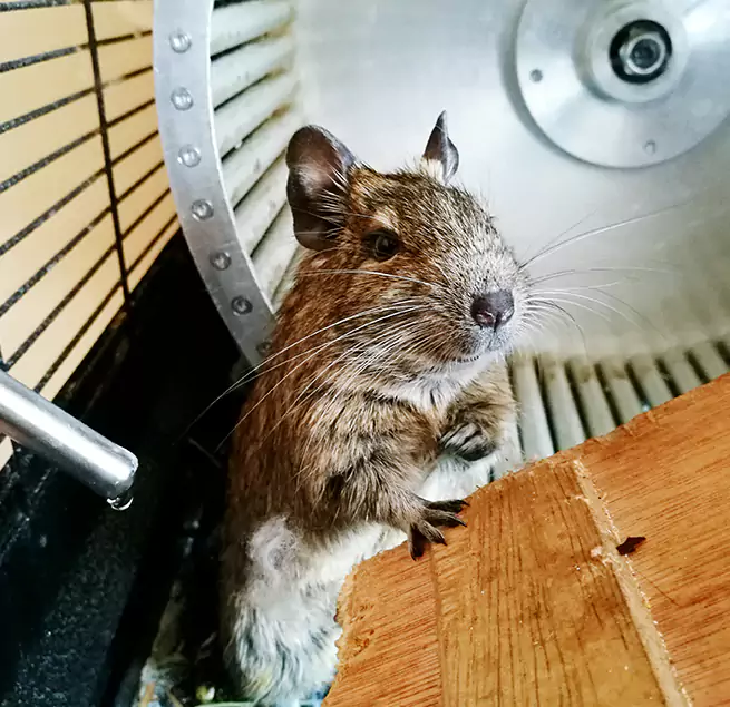 Why Homeowners & Businesses Trust Us Ken Caryl, CO