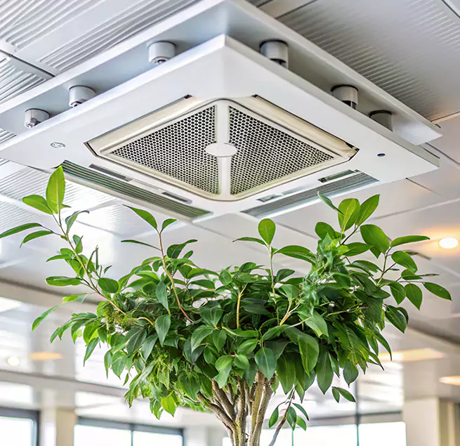 Why Homeowners & Businesses Trust Us in Ken Caryl, CO?