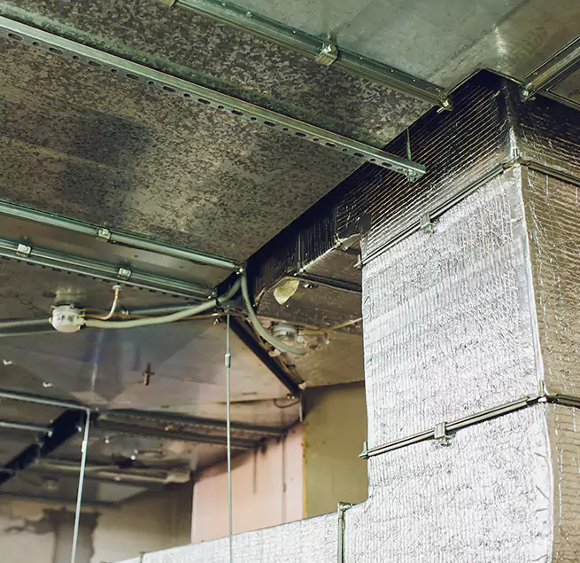 Why Homeowners & Businesses Trust Us in Ken Caryl, CO?